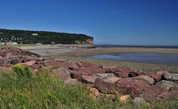 beach scene
